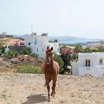 Galanos Villa Krotiri